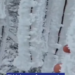Impresionante! La ola polar complica el servicio eléctrico en Carolina y Cerros Largos
