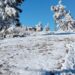 La Carolina tras la fuerte nevada.