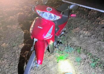 Leandro N. Alem: un hombre resultó herido tras colisionar en su motocicleta con un jabalí en la ruta nacional 146