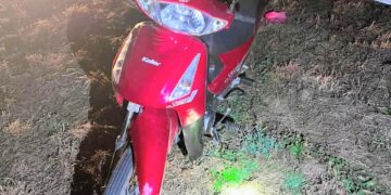 Leandro N. Alem: un hombre resultó herido tras colisionar en su motocicleta con un jabalí en la ruta nacional 146