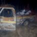 Ruralidad Segura: infraccionaron a tres hombres por caza ilegal con jauría y decomisaron ejemplares de jabalí
