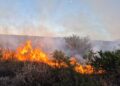 Extinguieron un incendio de malezas en la ruta provincial 10, cerca de La Toma