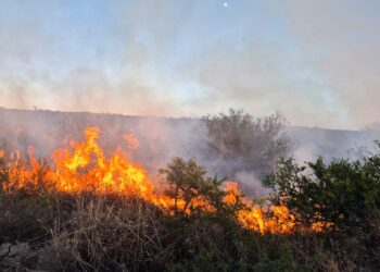 Extinguieron un incendio de malezas en la ruta provincial 10, cerca de La Toma
