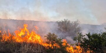 Extinguieron un incendio de malezas en la ruta provincial 10, cerca de La Toma