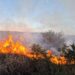 Extinguieron un incendio de malezas en la ruta provincial 10, cerca de La Toma