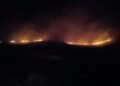 Brigadistas contuvieron un foco de incendio en La Carolina