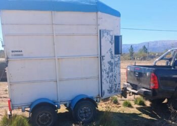 Nogolí: una mujer fue hospitalizada tras sufrir un accidente mientras cargaba un caballo en un tráiler