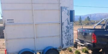 Nogolí: una mujer fue hospitalizada tras sufrir un accidente mientras cargaba un caballo en un tráiler