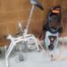 Quines: recuperaron elementos que habían sido robados de una vivienda