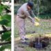 Plantando futuro en La Toma