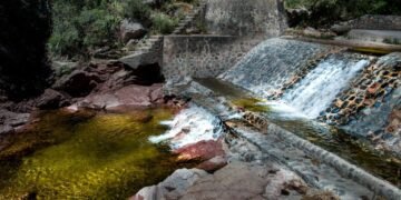 Papagayos celebra 62 años de autonomía: entre palmeras, sierras y tradiciones