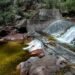 Papagayos celebra 62 años de autonomía: entre palmeras, sierras y tradiciones